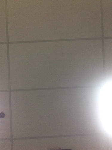 Two 26.03.19 hanh test