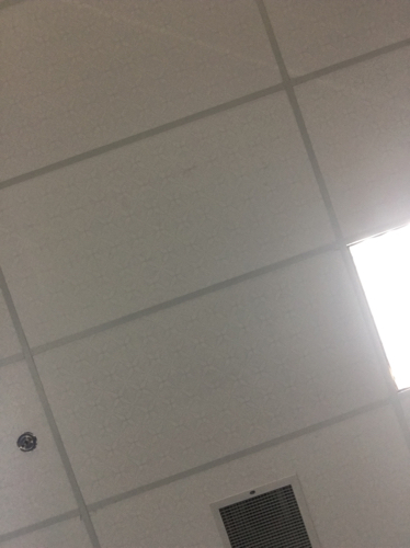 Testing