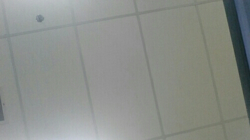 Dxj