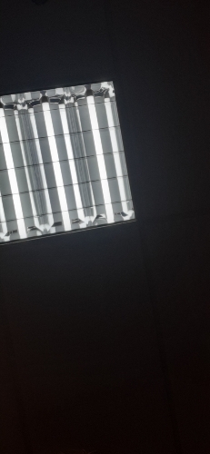 Tre