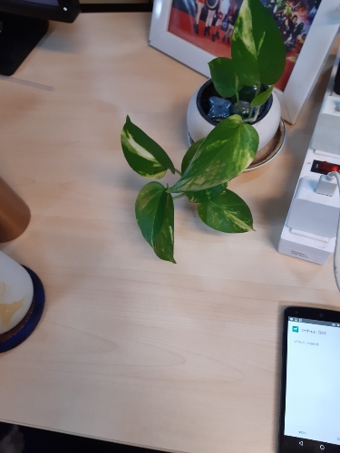 Test2