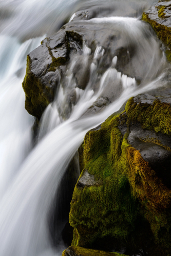 AAA